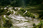 banaue rice terraces